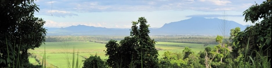 Mount Bartle Frere, Queensland's tallest. View from the hill top, towards Innisfail. Mobile phone talking spot.